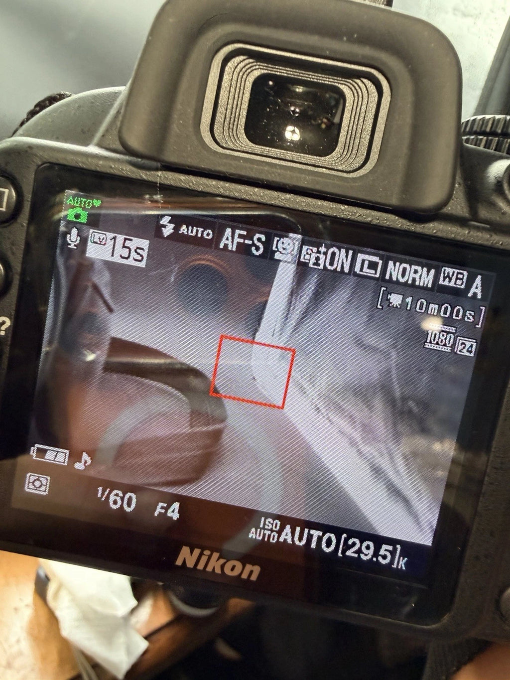 Nikon D3100