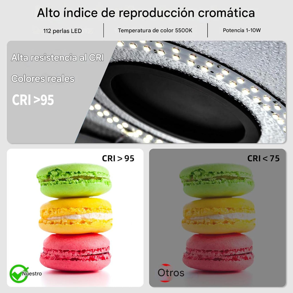 Glendan Caja de Luz Portátil para Estudio Fotográfico