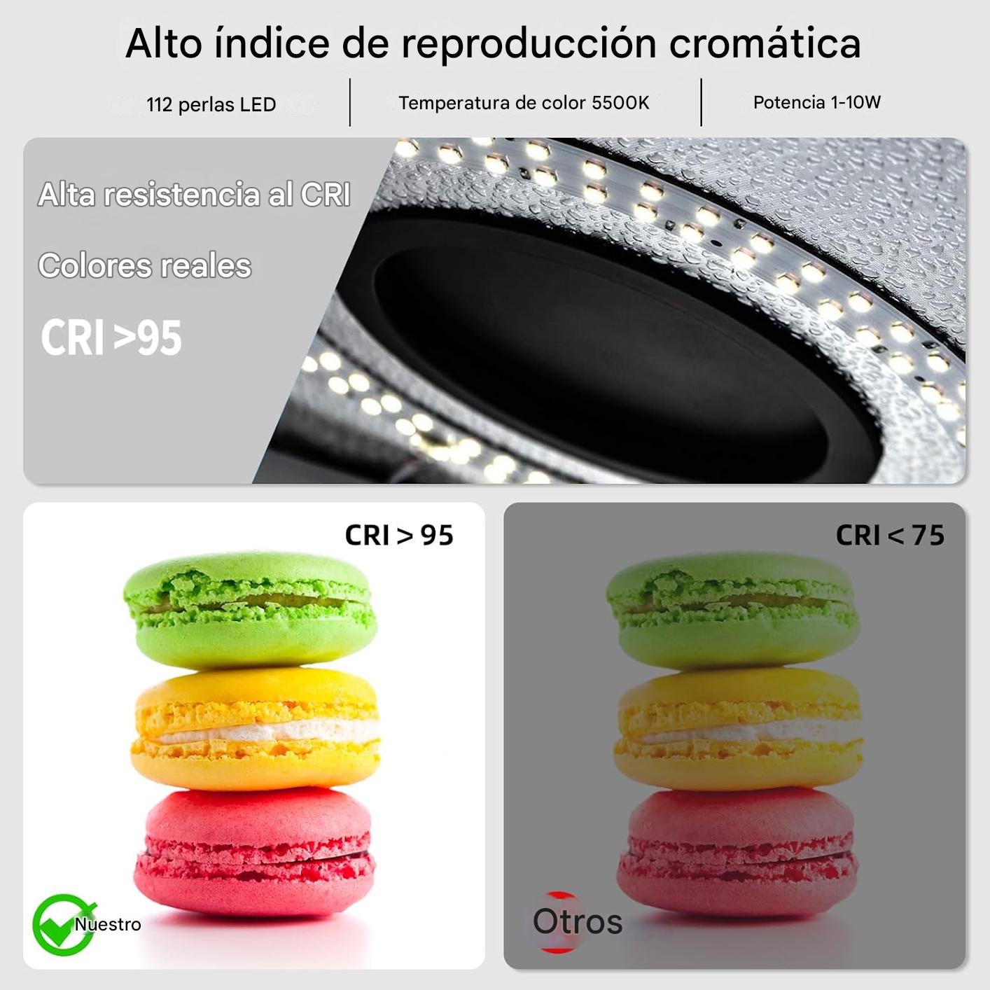 Glendan Caja de Luz Portátil para Estudio Fotográfico