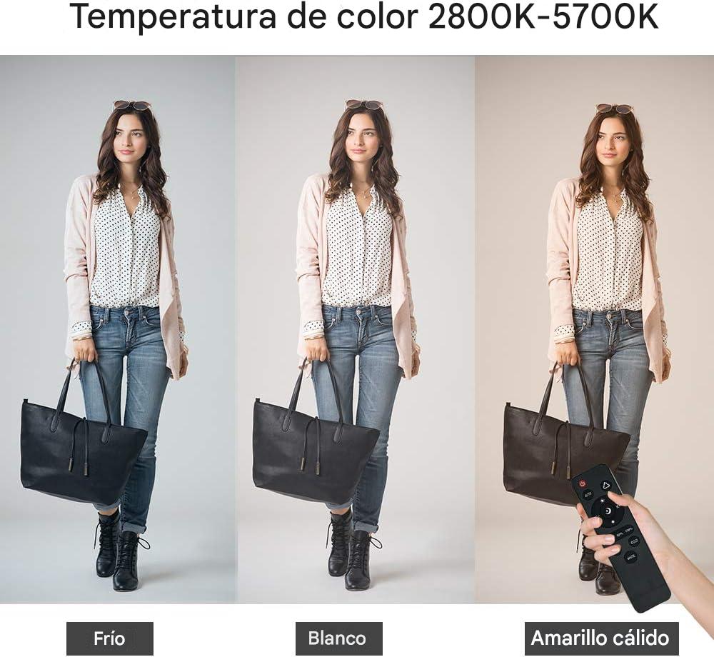 MOUNTDOG Kit de iluminación