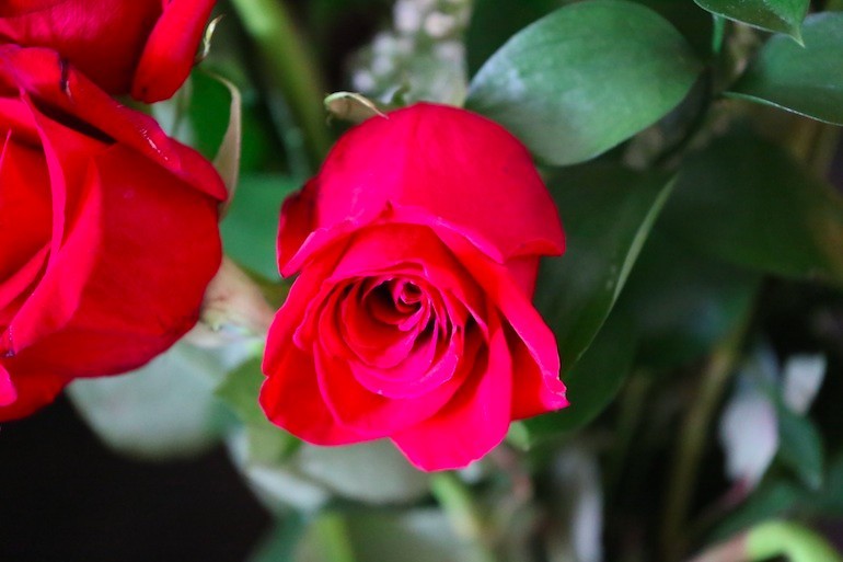 Nikon AF-S DX NIKKOR 18-105 mm f/3.5-5.6G ED VR